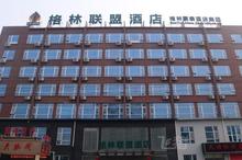 豪华双床房 菏泽成武大明湖路店 格林联盟酒店