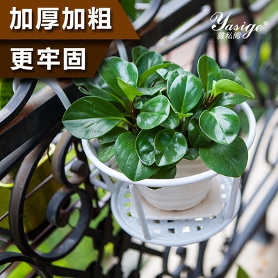 窗台小花架哪里购买