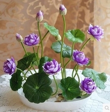 Pottery pot lotus seed aquatic bowl lotus pool of four