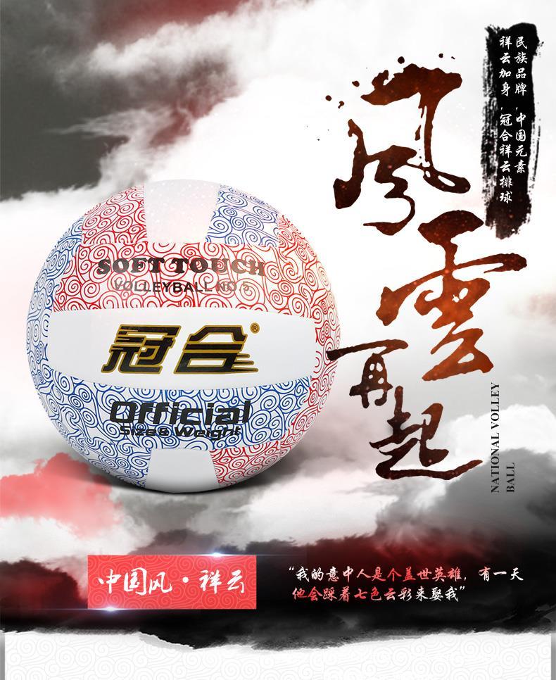 Ballon de volley - Ref 2009483 Image 6