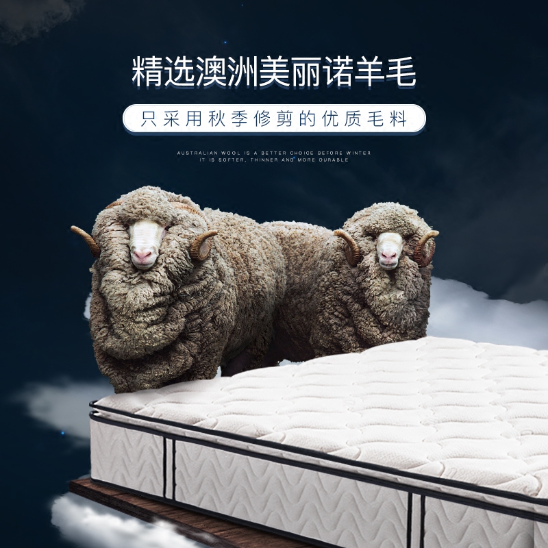 ��ŵ������Ӳ�齺����ZM002