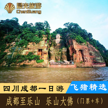 四川旅游 乐山大佛一日游 乐山大佛门票 往返车 成都至乐山一日游