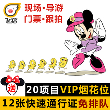 上海迪士尼乐园门票33VIP导览服务快速通行证迪士尼导游fp免排队