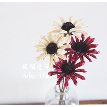 天然手工干花 花材搭配 摆拍背景道具 家居装 日光菊