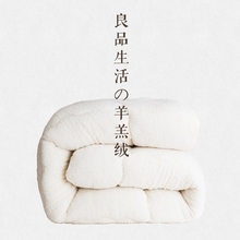 加厚保暖被子被芯冬被宿舍棉被单人双人羊羔绒秋冬太空被冬季被褥