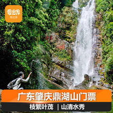 入园 广东肇庆鼎湖山门票风景名胜旅游近七星岩S 自动出票 刷码