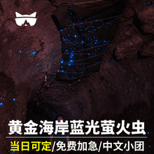 懒猫澳洲旅游黄金海岸天柏林/春之溪/莱明顿蓝光萤火虫中文一日游