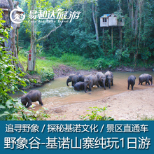 西双版纳旅游推荐野象谷基诺山寨景区纯玩一日游含门票车费中餐