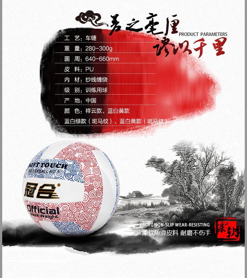 Ballon de volley - Ref 2009483 Image 7