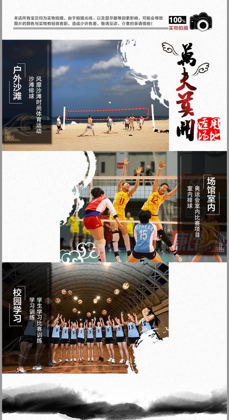 Ballon de volley - Ref 2009483 Image 9