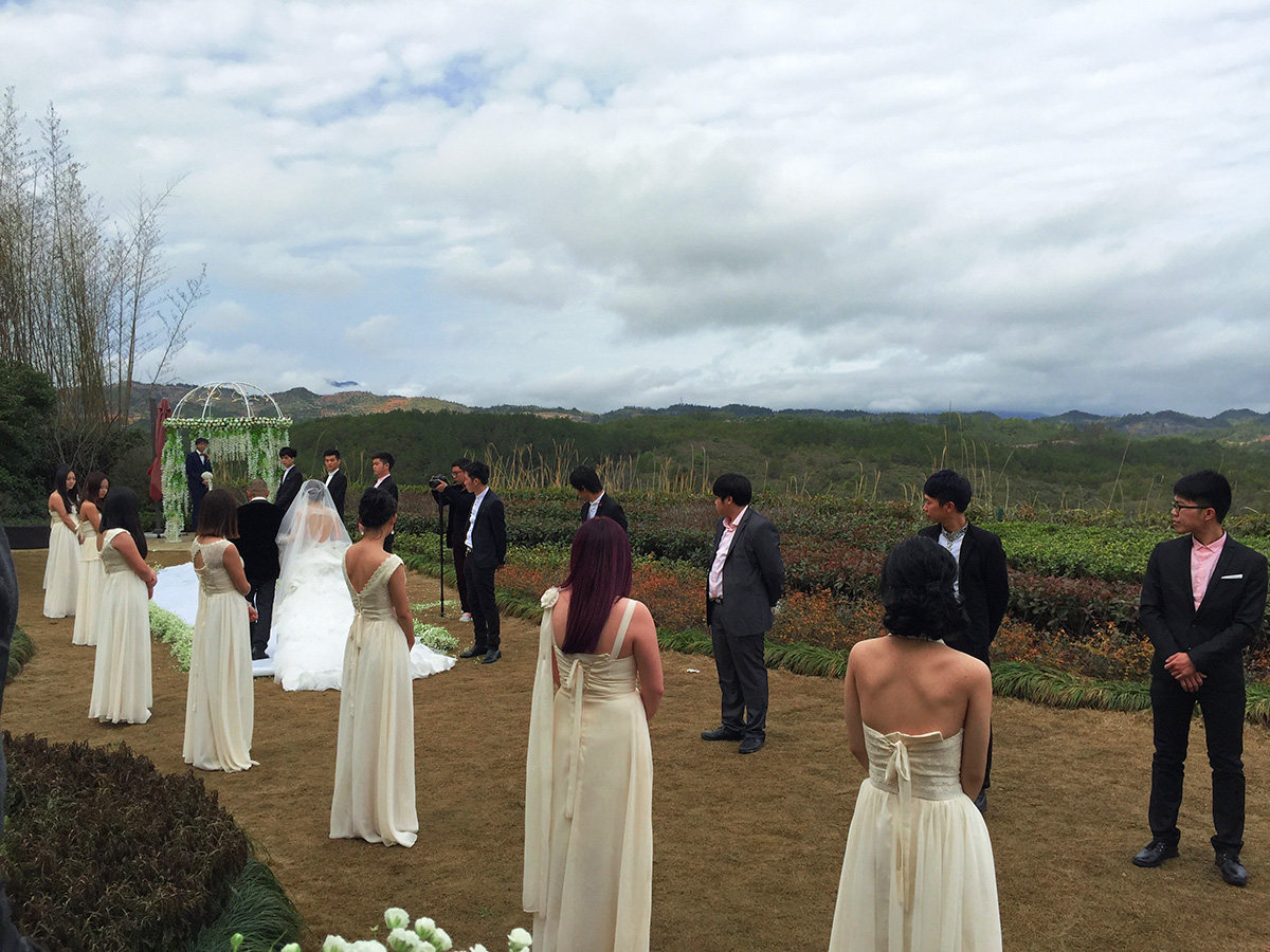 Wedding