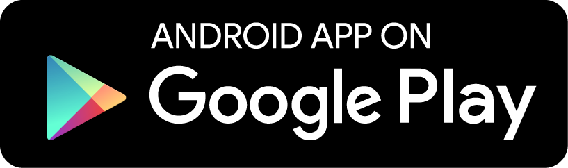 Google store