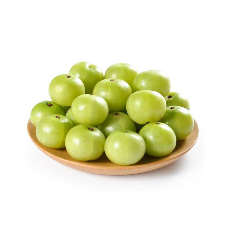 南方庭院种它真香!四季结果的甜油甘树苗你试过吗