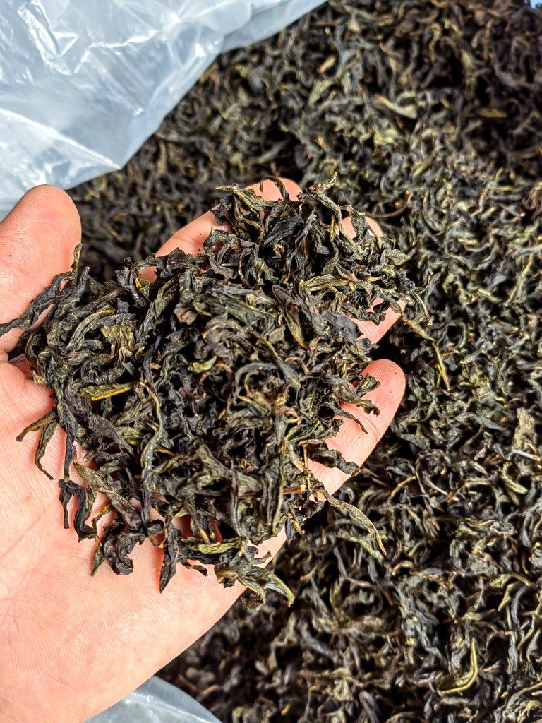 诏安富硒八仙茶,炭焙香气带你穿越山林