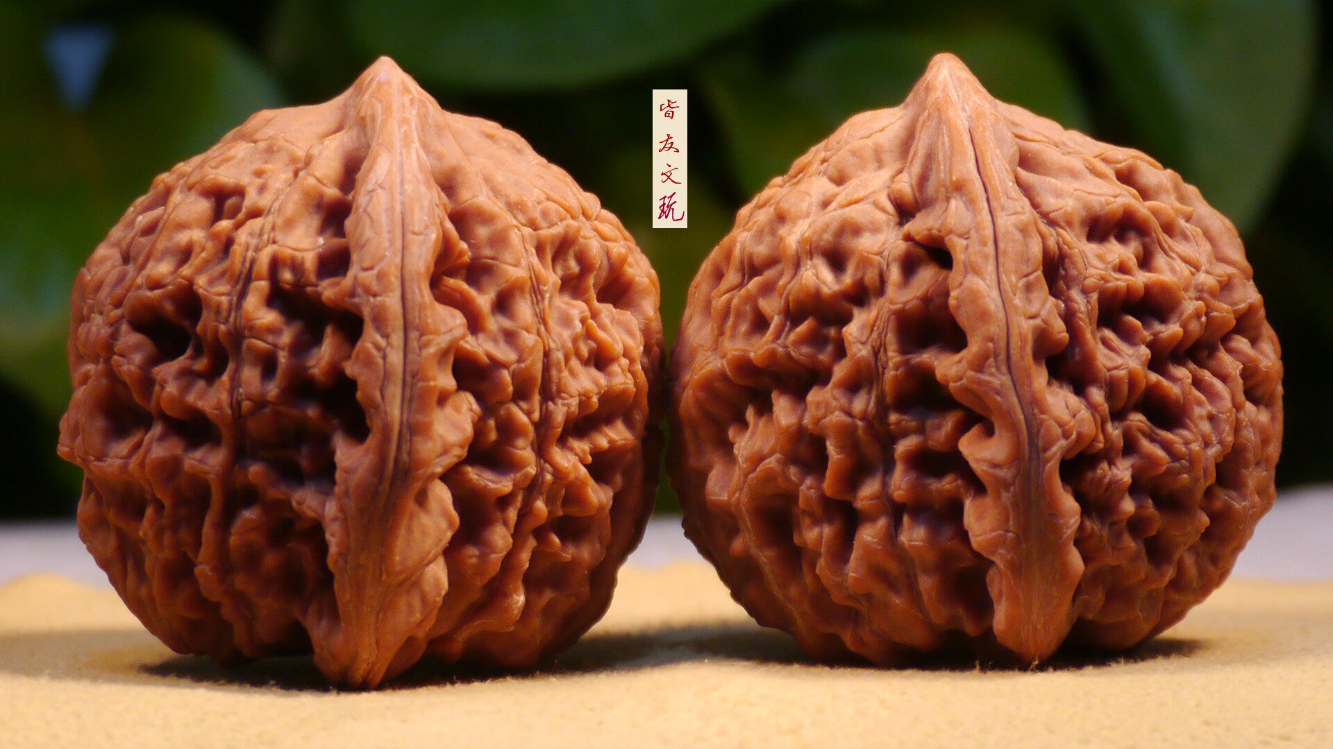 文玩核桃配对为什么难？43.1mm水龙纹狮子头到底特别在哪？🤔 - 种草