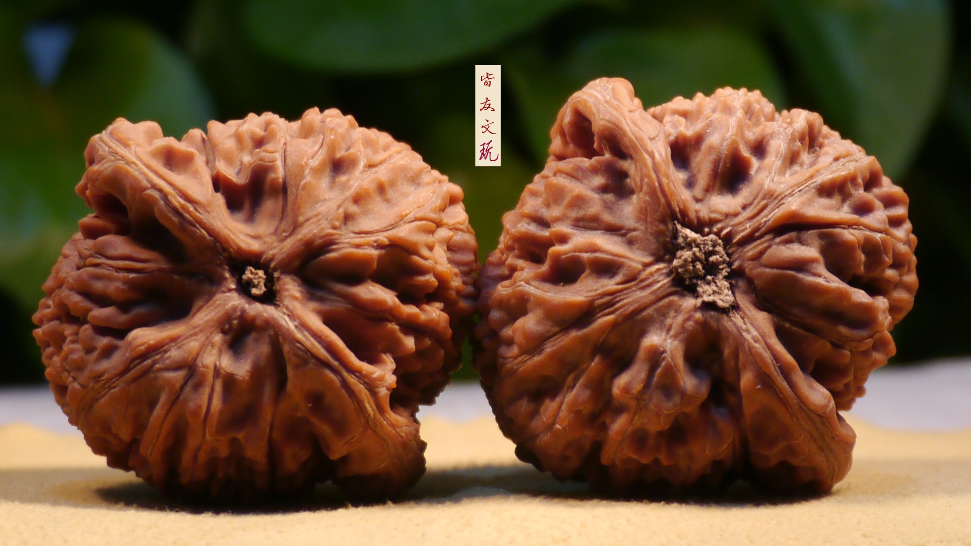 文玩核桃配对为什么难？43.1mm水龙纹狮子头到底特别在哪？🤔 - 种草