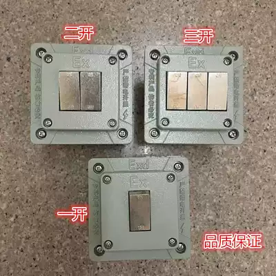 Explosion-proof wall switch Lighting factory Household surface mounted Concealed 1 open 2 open 3 open SWB-10A