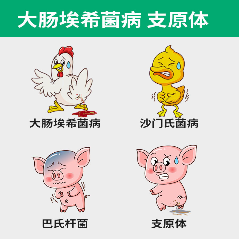 养禽户必知的饮水给药小技巧💡 - 种草笔记 - 淘江湖