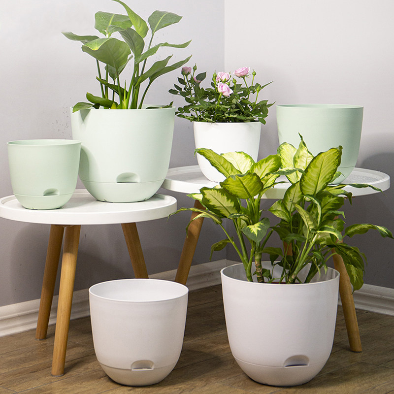 这个懒人花盆真的让我告别天天浇水的日子了！