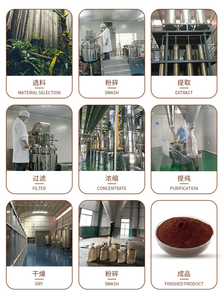 桑叶提取物是什么?一文读懂它的植物奥秘