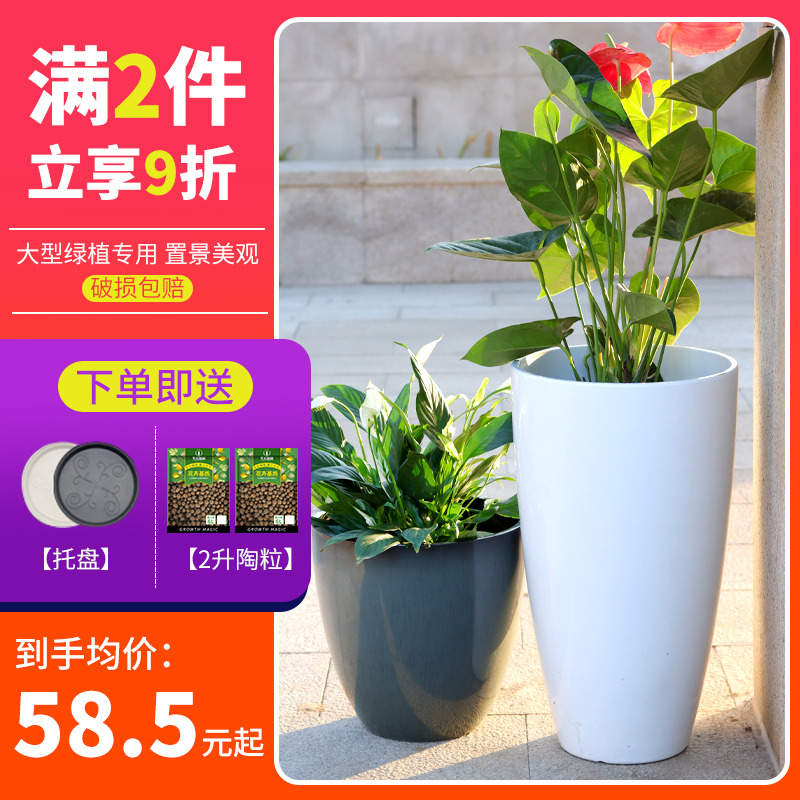 这个花盆让我家阳台秒变绿植花园！
