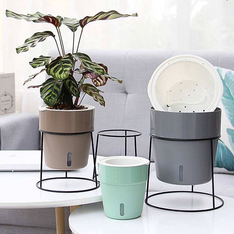 这个懒人花盆真的让我的绿萝活了！