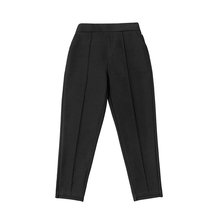 Spring and summer 2020 high waist straight tube suit pants women's all-around cigarette tube pants loose small leg Harun pants