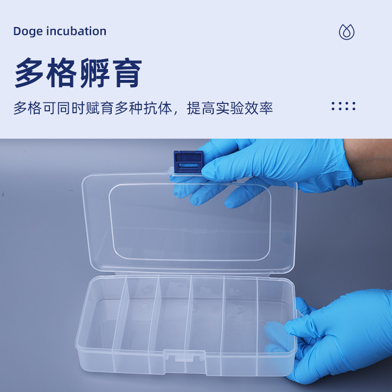 高5cm的孵育盒与WB实验效率的关系解析 - 好物爆料 - 淘江湖