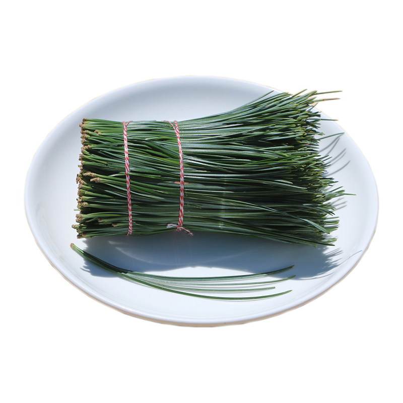 松针茶为何被称作“森林呼吸的浓缩精华”?🌿 - 好物爆料 - 淘江湖