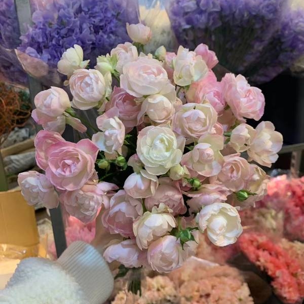 Japan imported puffs high-grade flower family flower arrangement lover gift spot SF delivery