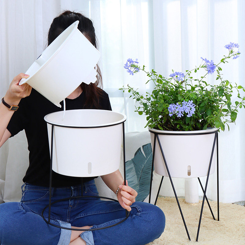 这个懒人花盆真的让我家秒变北欧森林！