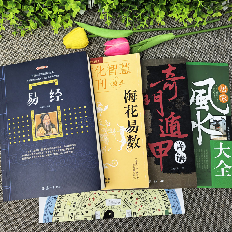 易经风水奇门遁甲梅花易数全四册真的看懂了？ - 好物爆料- 淘江湖