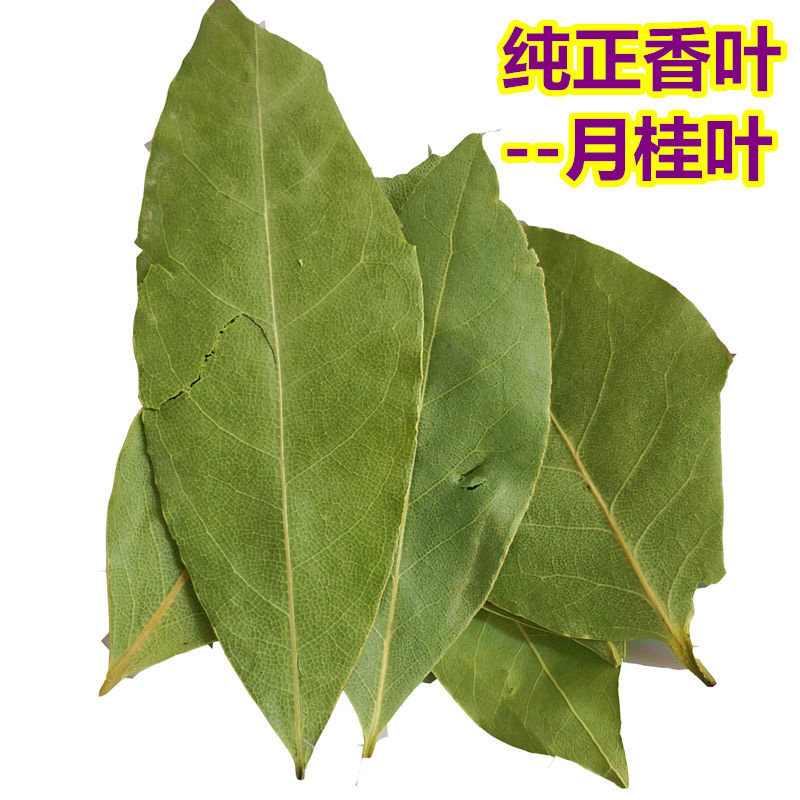 香叶的妙用你知道吗？天然月桂叶科普 - 好物爆料 - 淘江湖